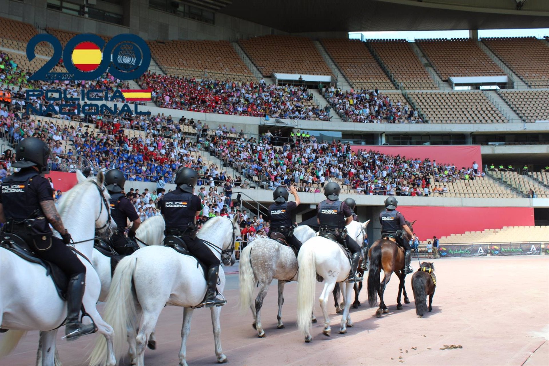 Más de 10.000 escolares sevillanos asisten a la exhibición policial en el Estadio de la Cartuja Más de 10.000 escolares sevillanos asisten a la exhibición policial en el Estadio de la Cartuja