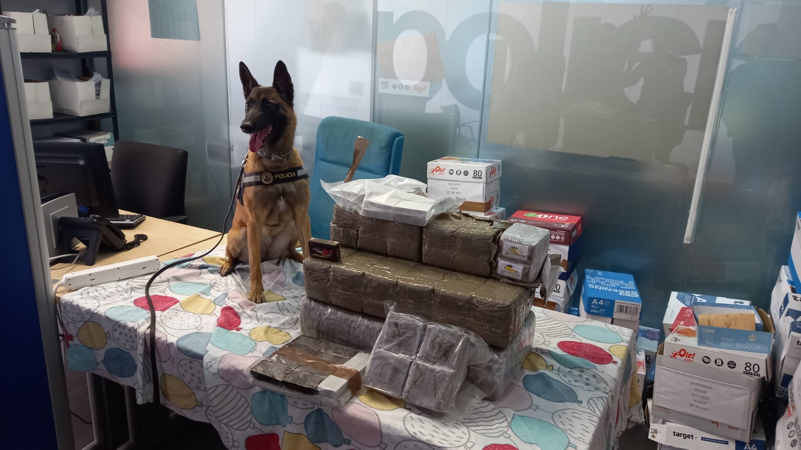 La Unidad Canina de Alicante detecta 38 kilos de hachís en un autobús de la línea Algeciras-Barcelona La Unidad Canina de Alicante detecta 38 kilos de hachís en un autobús de la línea Algeciras-Barcelona