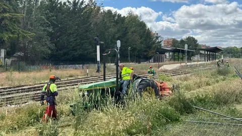 Operarios limpian este miércoles los terrenos, donde ha brotado mucha vegetación Operarios limpian este miércoles los terrenos, donde ha brotado mucha vegetación