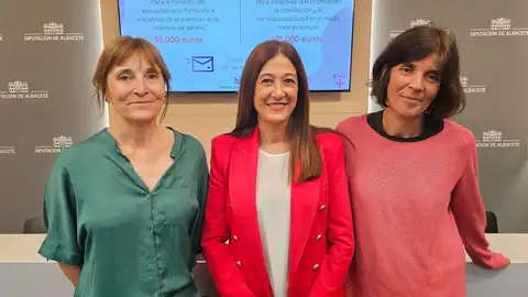 230.000 euros para avanzar en la promoción de la igualdad y la conciliación en la provincia 230.000 euros para avanzar en la promoción de la igualdad y la conciliación en la provincia