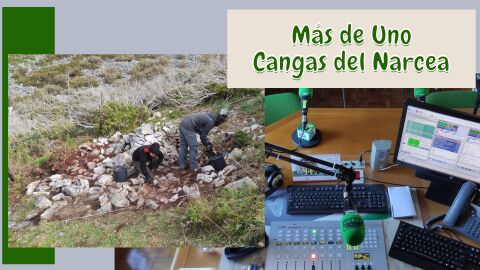 Investigadores de LLABOR en pleno trabajo