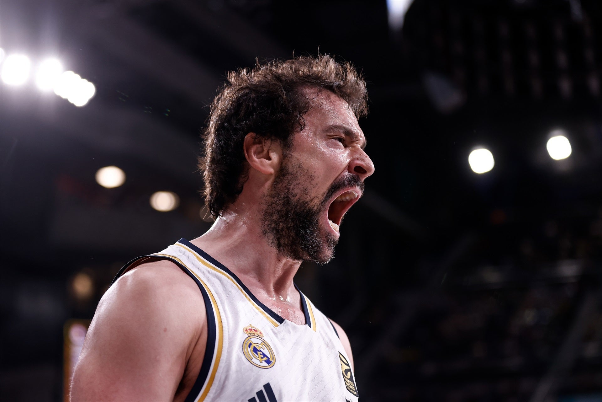 Sergio Llull: "En el Real Madrid luchamos para llegar a finales y ganarlas" Sergio Llull: "En el Real Madrid luchamos para llegar a finales y ganarlas"