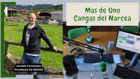 Amable Fernández Amable Fernández