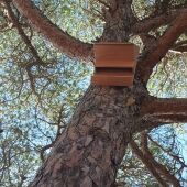 Una de las casetas de murciélagos en Puerto Real