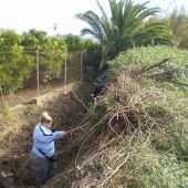 Trabajadores SEPE