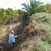 Trabajadores SEPE Trabajadores SEPE
