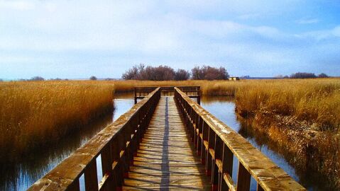 Parque de las Tablas de Daimiel