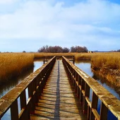 Parque de las Tablas de Daimiel Parque de las Tablas de Daimiel