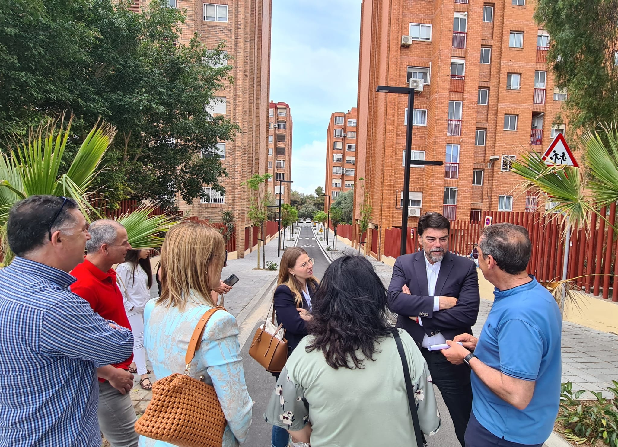 El Palmeral de Alicante refuerza su condición de pulmón y reclamo para alicantinos y turistas El Palmeral de Alicante refuerza su condición de pulmón y reclamo para alicantinos y turistas