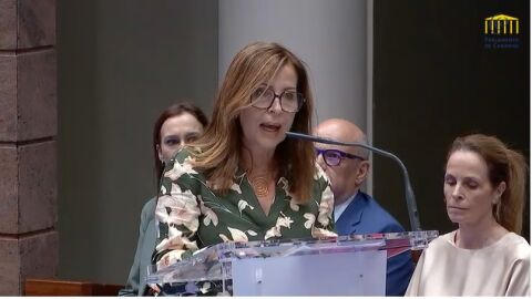 Lola Padr&oacute;n, Diputada del Com&uacute;n Canarias