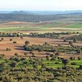 Zona afectada por los proyectos de minería de tierras raras en Ciudad Real Zona afectada por los proyectos de minería de tierras raras en Ciudad Real