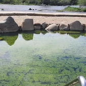 O PP denuncia o estado de abandono dos espacios termais da cidade O PP denuncia o estado de abandono dos espacios termais da cidade