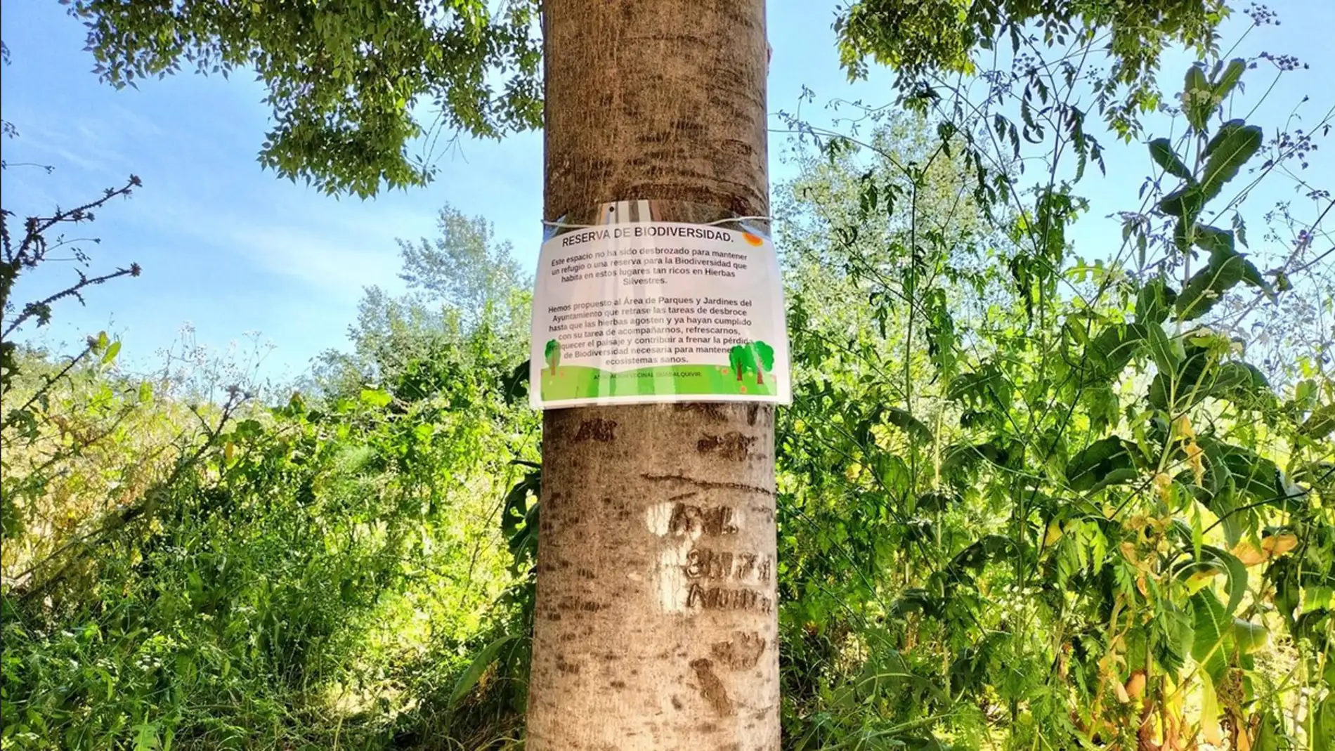 Los vecinos de Fray Albino y Campo de la Verdad señalizan junto al río una "reserva de biodiversidad" 