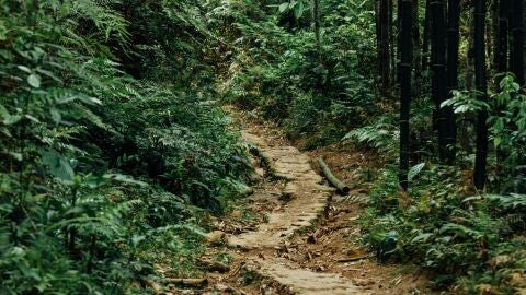 camino santiago