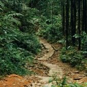 camino santiago