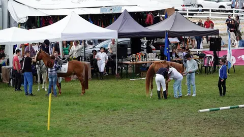 Actividad ecuestre Semana Verde de Galicia Actividad ecuestre Semana Verde de Galicia