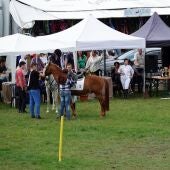 Actividad ecuestre Semana Verde de Galicia 