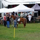 Actividad ecuestre Semana Verde de Galicia Actividad ecuestre Semana Verde de Galicia