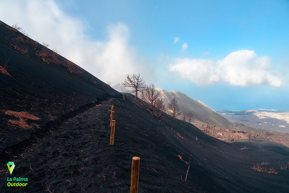 Más de Uno Canarias | Martes 28/05/2024 Más de Uno Canarias | Martes 28/05/2024