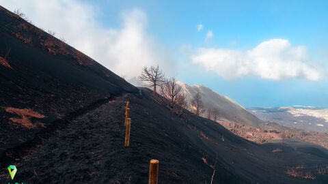 Zonas afectadas por la erupci&oacute;n de Tajogaite, en La Palma
