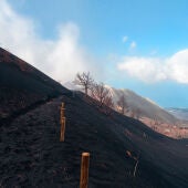 Zonas afectadas por la erupción de Tajogaite, en La Palma