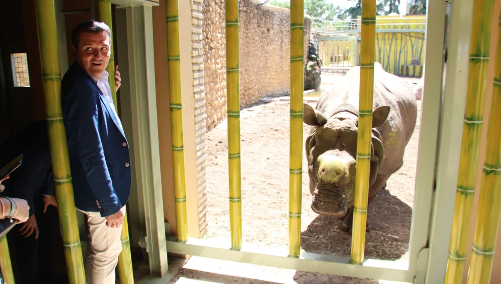 Rinoceronte indio recién llegado al zoo