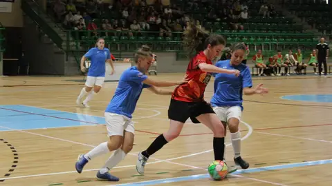 Segosala Segosala Naturpellet