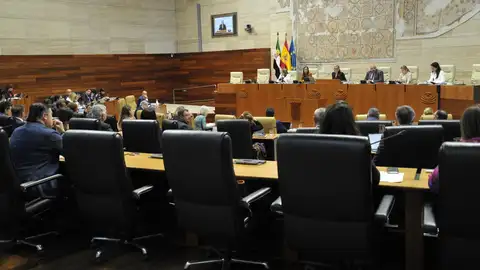 Producción energética, Fondos de Resiliencia, o la falta de médicos en verano, a debate este jueves en pleno de la Asamblea Producción energética, Fondos de Resiliencia, o la falta de médicos en verano, a debate este jueves en pleno de la Asamblea