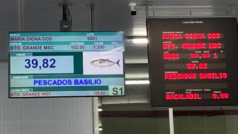 Vendido el primer bonito de la temporada en el Musel