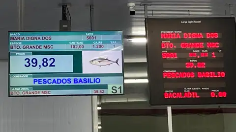 Vendido el primer bonito de la temporada en el Musel Vendido el primer bonito de la temporada en el Musel