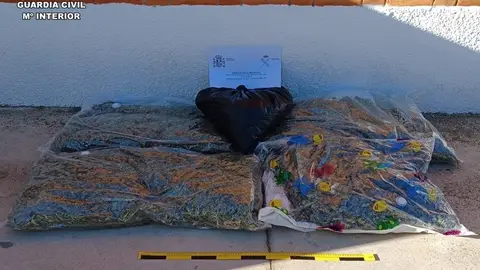 Marihuana que transportaba el vehículo del detenido Marihuana que transportaba el vehículo del detenido