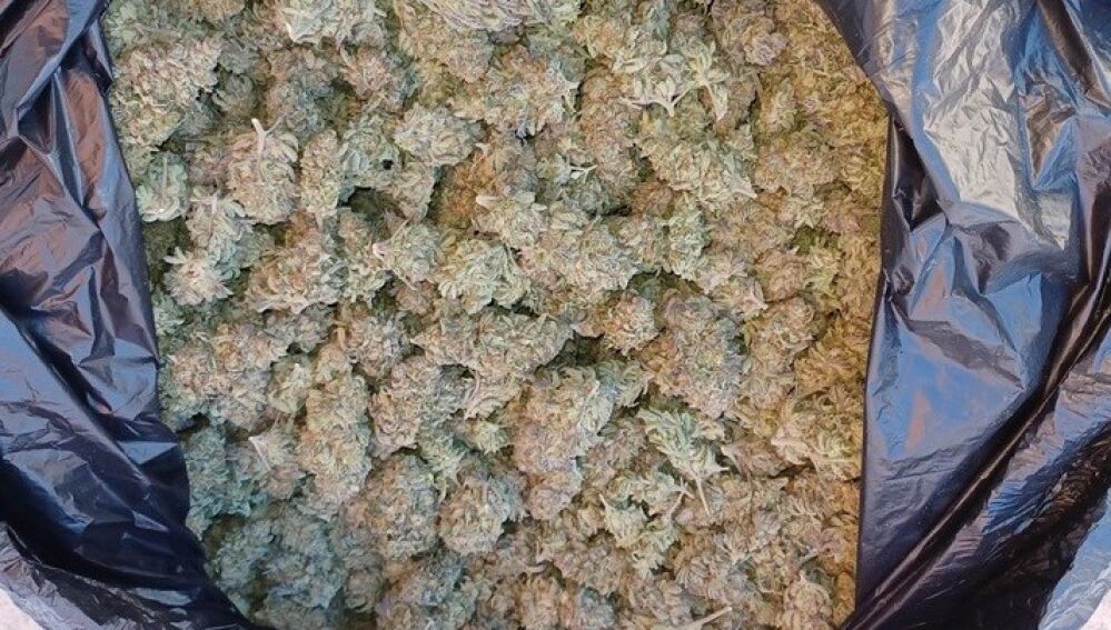 Droga incautada por la Guardia Civil