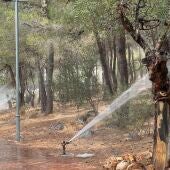 Nuevos sistema de aspersores en La Montañeta de Alberic