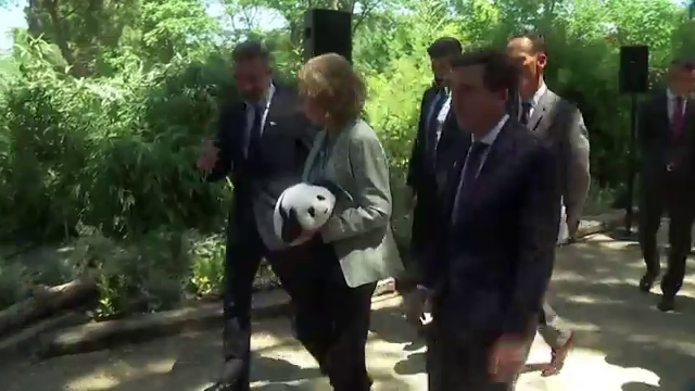 La reina Sofía presenta a la nueva pareja de pandas del Zoo de Madrid La reina Sofía presenta a la nueva pareja de pandas del Zoo de Madrid