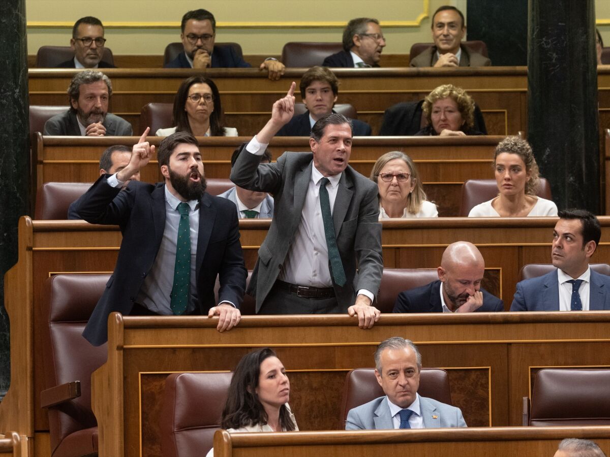 Tensión inédita en el Congreso en el debate sobre la amnistía por los  gritos de diputados de Vox | Onda Cero Radio