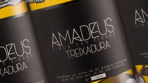 Amadeus de Viña Costeira Amadeus de Viña Costeira