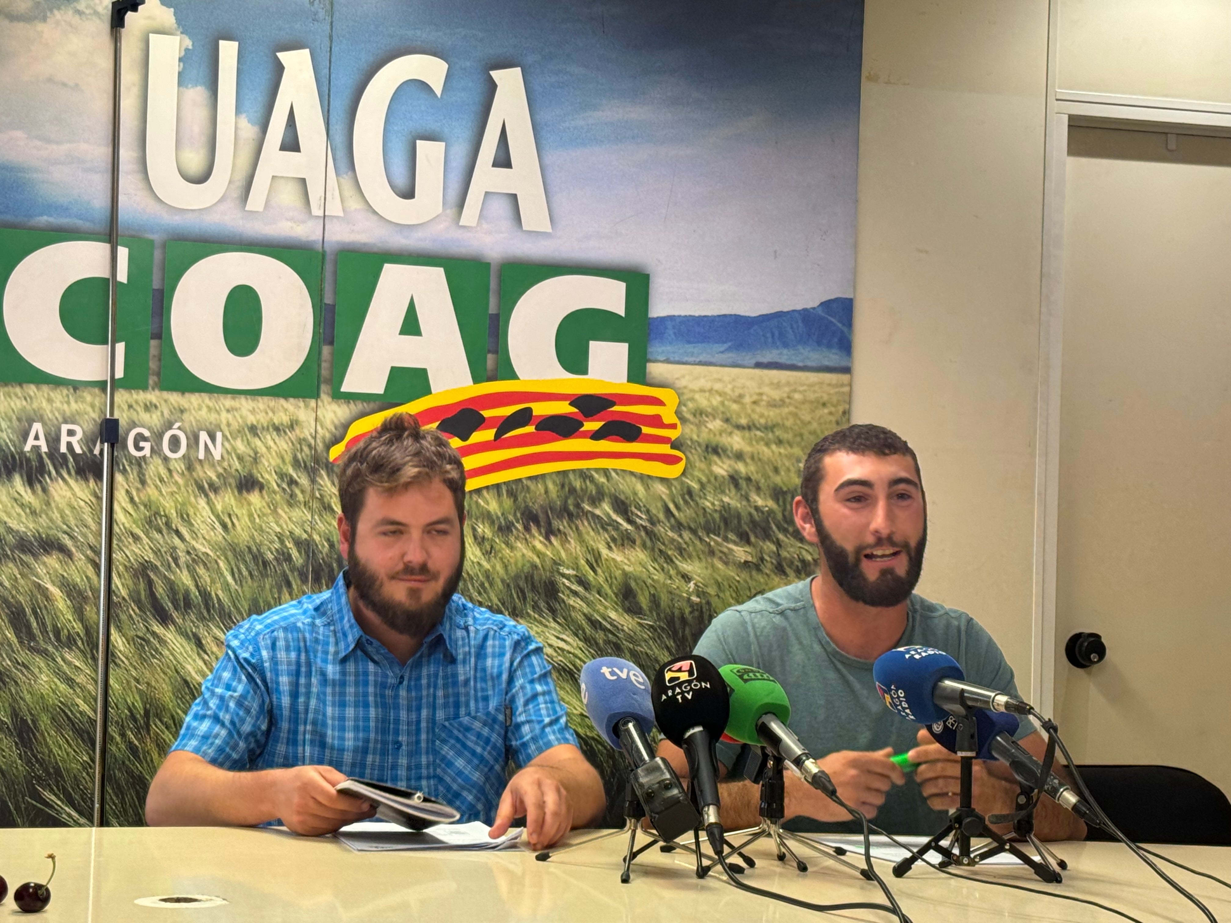 UAGA prevé una campaña “normal” de la fruta con la recogida de 600.000 toneladas en Aragón UAGA prevé una campaña “normal” de la fruta con la recogida de 600.000 toneladas en Aragón
