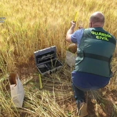La operación ha sido dirigida por la Guardia Civil La operación ha sido dirigida por la Guardia Civil