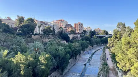 Elche. Elche.