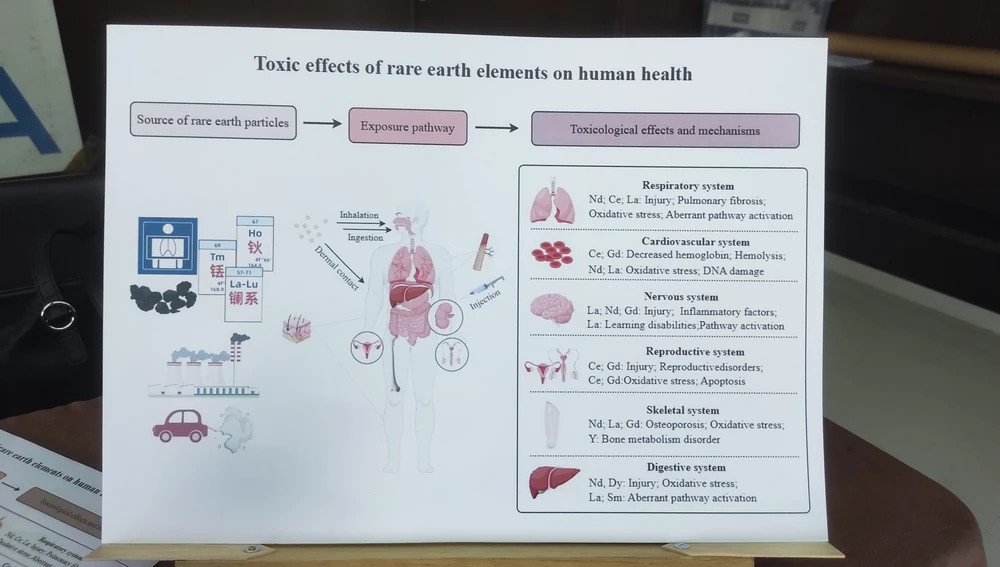 Ilustración efectos nocivos de los elementos de tierras raras en la salud humana Ilustración efectos nocivos de los elementos de tierras raras en la salud humana