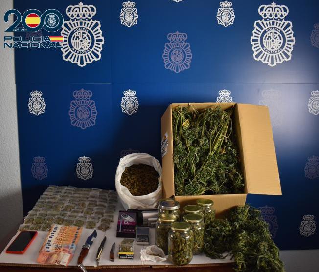 Desmantelan un centro de producción y distribución de marihuana en Tomelloso y detienen a un varón Desmantelan un centro de producción y distribución de marihuana en Tomelloso y detienen a un varón