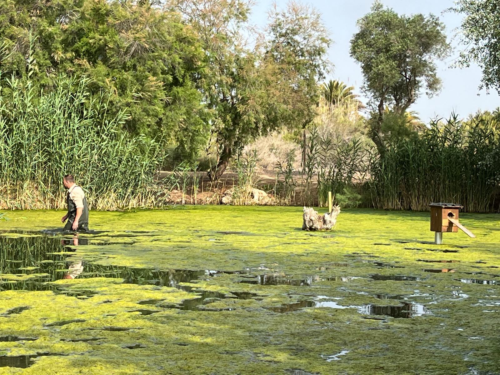 Hidraqua y sus empresas participadas destinan cerca de dos millones de m3 de agua regenerada para uso ambiental Hidraqua y sus empresas participadas destinan cerca de dos millones de m3 de agua regenerada para uso ambiental