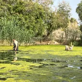 Hidraqua y sus empresas participadas destinan cerca de dos millones de m3 de agua regenerada para uso ambiental Hidraqua y sus empresas participadas destinan cerca de dos millones de m3 de agua regenerada para uso ambiental