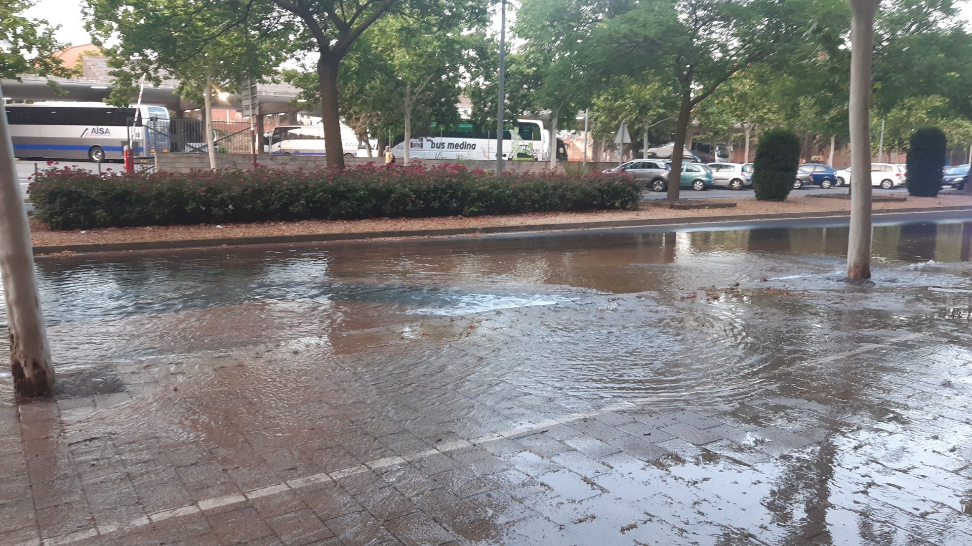 VÍDEO: La rotura de una tubería provoca la salida de una gran cantidad de agua en Ciudad Real VÍDEO: La rotura de una tubería provoca la salida de una gran cantidad de agua en Ciudad Real