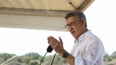 El presidente del PP, Alberto Núñez Feijóo El presidente del PP, Alberto Núñez Feijóo