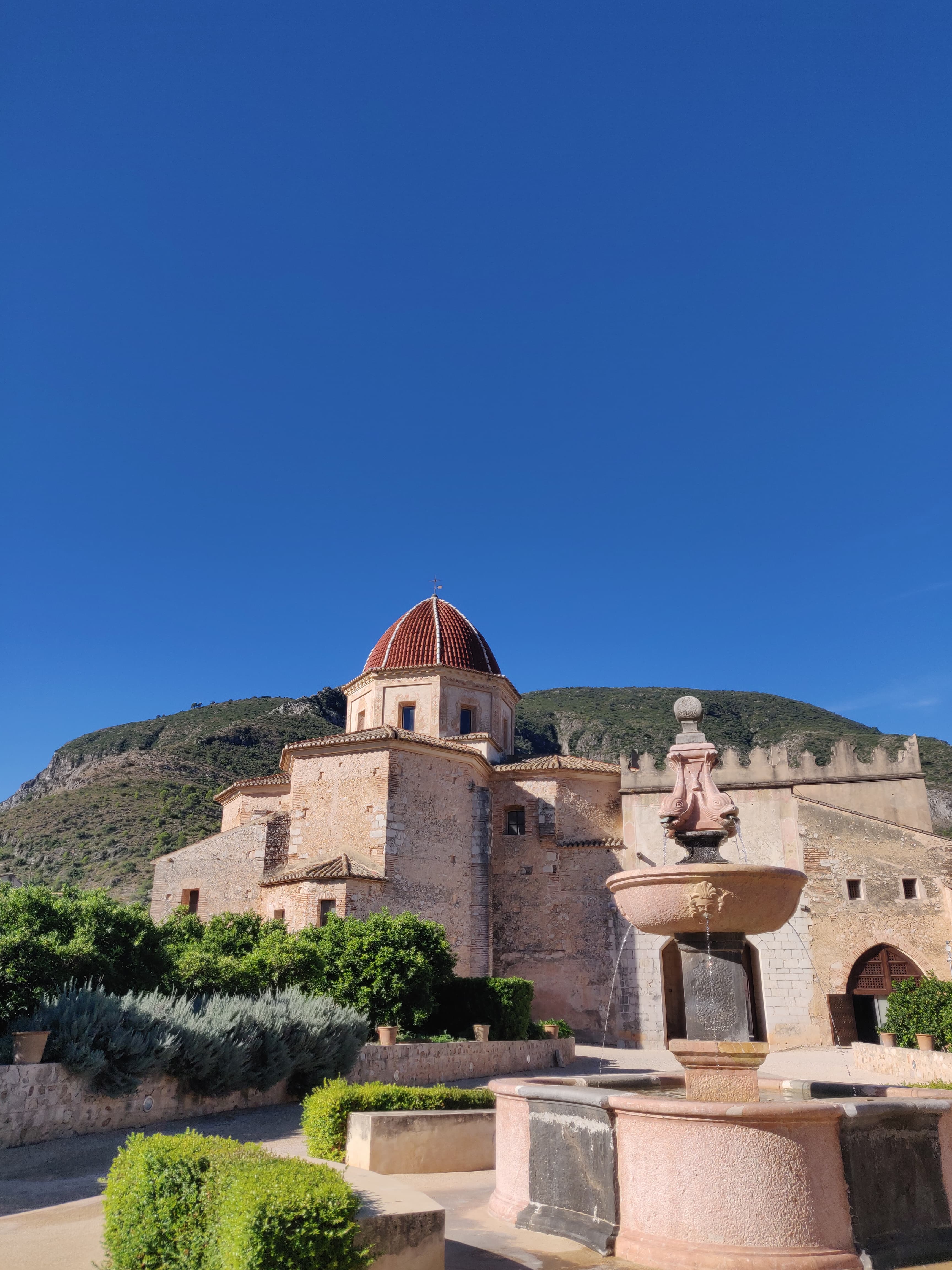 Convocan una subasta para vender las naranjas del monasterio de La Valldigna (Valencia) Convocan una subasta para vender las naranjas del monasterio de La Valldigna (Valencia)