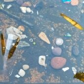 Apatrigal señala que las piedras con mensajes que localizaron en la fuente de Platerías daña la imagen de la ciudad