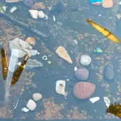 Apatrigal señala que las piedras con mensajes que localizaron en la fuente de Platerías daña la imagen de la ciudad Apatrigal señala que las piedras con mensajes que localizaron en la fuente de Platerías daña la imagen de la ciudad
