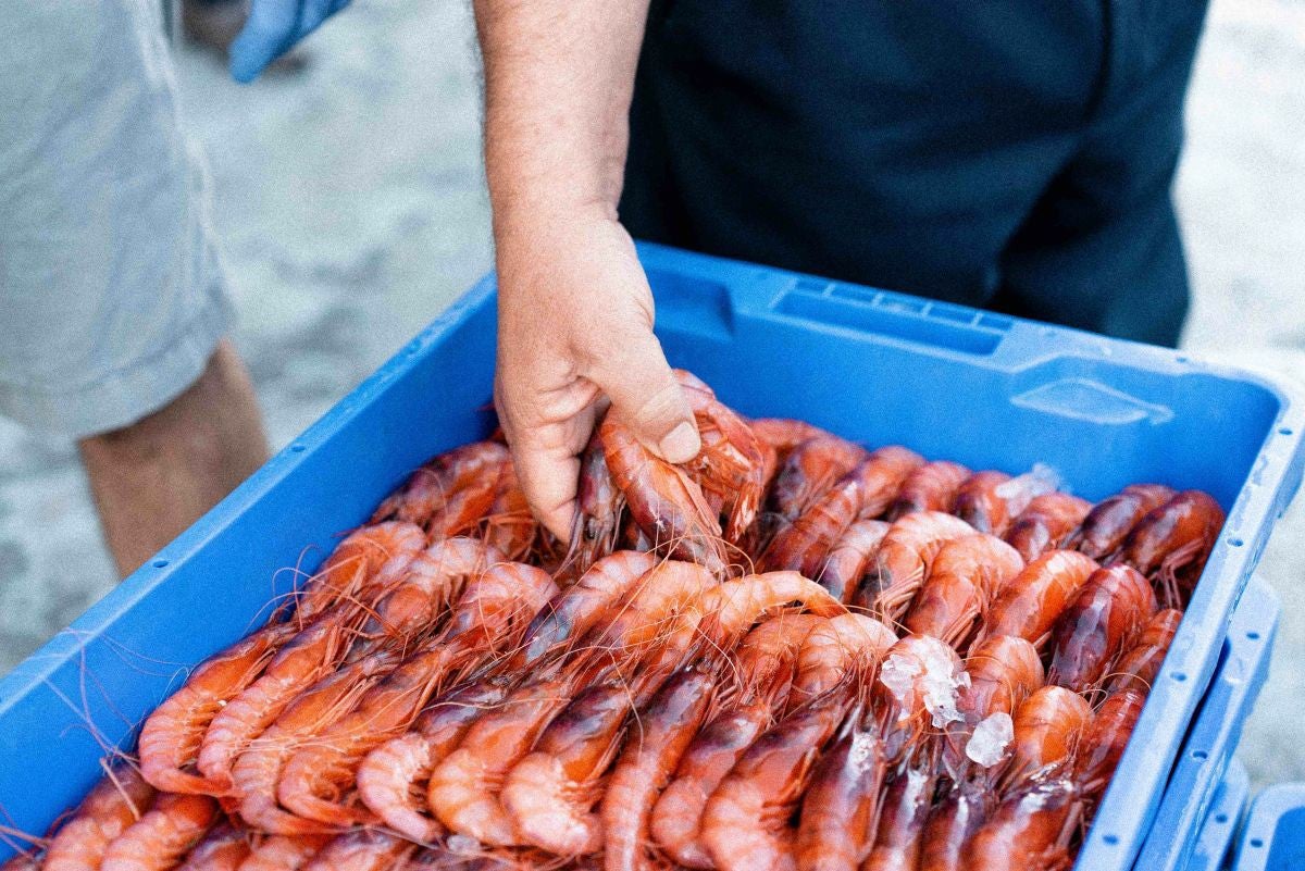 La Gamba Roja de Almería cuenta con su propia marca en busca de nuevos mercados La Gamba Roja de Almería cuenta con su propia marca en busca de nuevos mercados