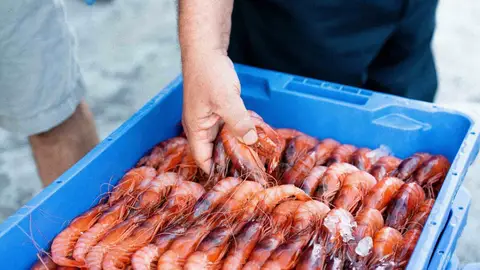 La Gamba Roja de Almería cuenta con su propia marca para diferenciarse de otras flotas ONDA CERO ALMERIA